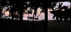 Life for Life Hostel Drake Bay Home of Sea Turtle Marine Conservation Project Osa Peninsula near San Josecito Beach